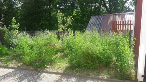 Mernes Apartment | Ferienwohnung Ullrich im Spessart