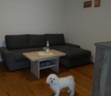 Zell im Fichtelgebirge Apartment | Ferienwohnung Munzert