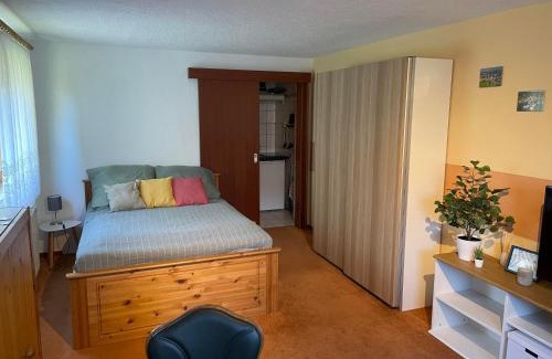 Altenberg Apartment | Ferienwohnung An den Galgenteichen