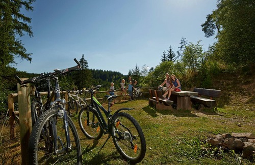 Titisee-Neustadt Apartment | Ferienwohnung/app. für 5 Gäste mit 72m² in Titisee-neustadt