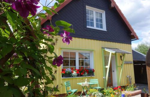 Benneckenstein Apartment | Ferienwohnung Dorle Im Ferienhaus Wedler In Benneckenstein Im Harz Mit Großem Naturnahen Garten