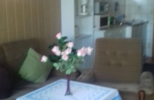 Altenberg Apartment | Ferienwohnung - Ferienhaus/-wohnung Langer