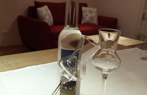 Fieberbrunn Apartment | Ferienwohnung Gassoid