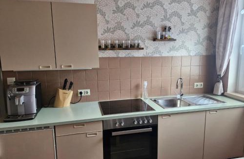 Mariapfarr Apartment | Ferienwohnung Hohengaßner