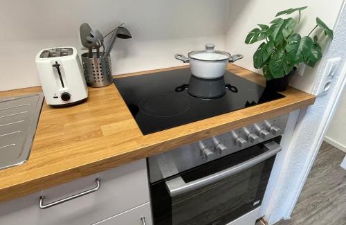 Kniebis Apartment | Ferienwohnung in Freudenstadt-Kniebis I, Schwarzwald
