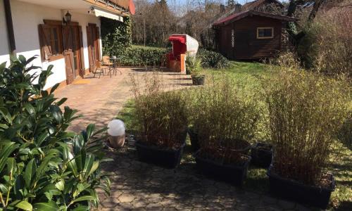 Durrbachau Apartment | Ferienwohnung Maintal Würzburg