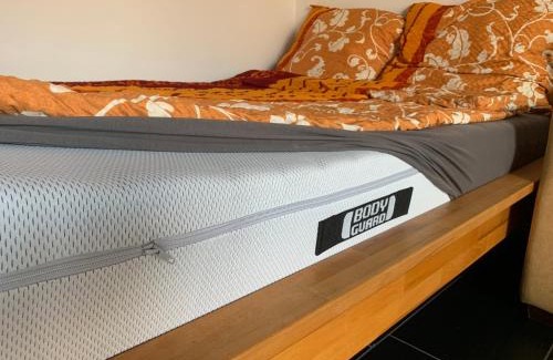 Weisenau Apartment | Ferienwohnung Mainz