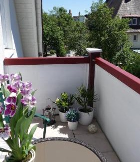 Unterallgau Apartment | Ferienwohnung Mittl