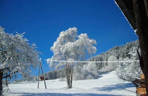 Wald im Pinzgau House | Ferienwohnung Muhlbauer