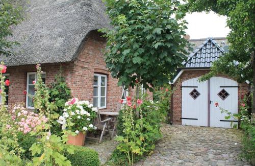Suderende Apartment | Ferienwohnung Oldsum