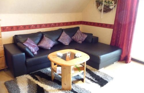 Neukirchen Apartment | Ferienwohnung PANTEN