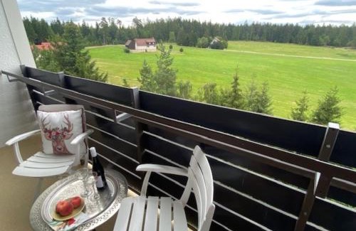 Kniebis Apartment | Ferienwohnung Schwarzwald Oase Kniebis