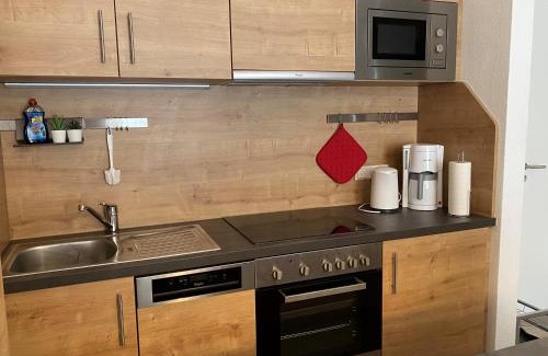 Feldberg Apartment | Ferienwohnung Schwarzwaldnest Feldberg