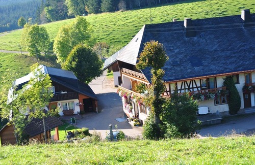 Furtwangen Apartment | Ferienwohnung Sonnenwinkel mit 53qm, 1 Schlafzimmer, 1 Wohn-/Schlafraum, max. 5 Personen