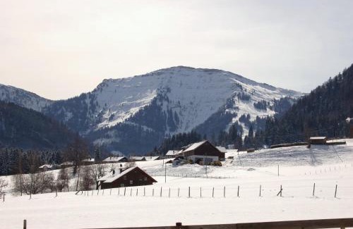 Steibis Apartment | Ferienwohnung Steibis/Allgäu