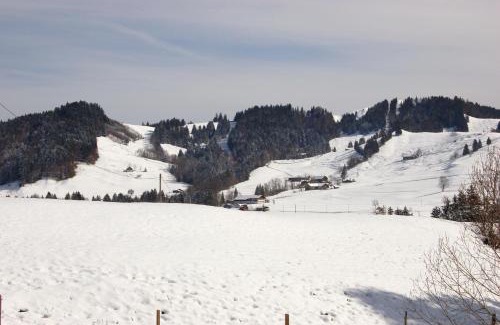 Steibis Apartment | Ferienwohnung Steibis/Allgäu
