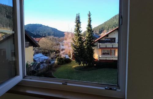 Mitteltal Apartment | Ferienwohnung Waldrausch
