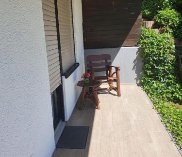 Kestert Apartment | Ferienwohnung zum Rheinblick