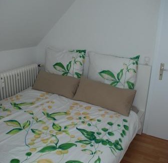Wangen im Allgaeu Apartment | Ferienwohnungen Lisa