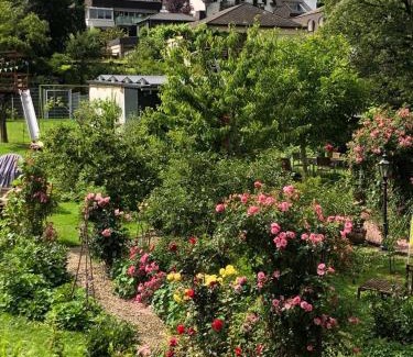 Kues Apartment | Ferienwohnungen Perlina Karpat