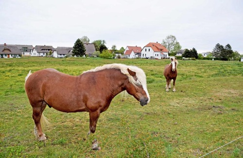 Hiddensee House | Ferienwohnungen Plogshagen Hiddens