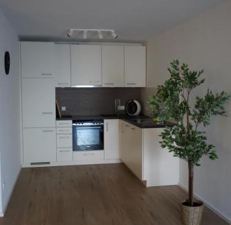 Mainz-Bingen Apartment | Ferienwohnungen Rosengarten