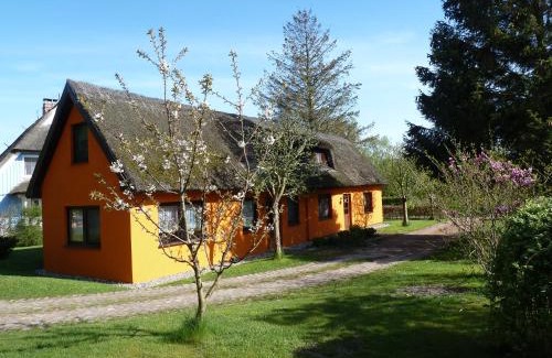Wieck auf dem Darss House | Ferienwohnungen Strandweg 6