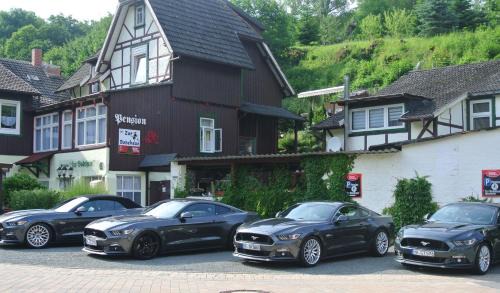 Treseburg Apartment | Ferienwohnungen Treseburg "Zur Bodehexe"