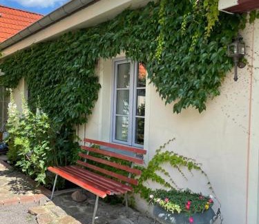 Kotzschenbroda Apartment | FEWO im Kneipenviertel Altkötzschenbroda