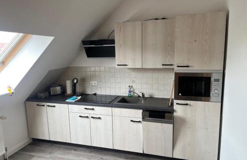 Dessau Apartment | FeWo Paula 4 Personen Parkplatz zentrale Lage ruhige Nebenstraße, DG