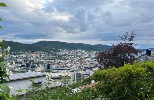 Bergen City Centre Apartment | Fin leilighet med parkering!