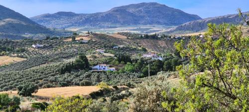 Antequera Bed & Breakfast | Finca Amorosa