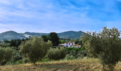 Antequera Bed & Breakfast | Finca Amorosa