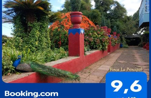 Brena Alta House | Finca La Principal