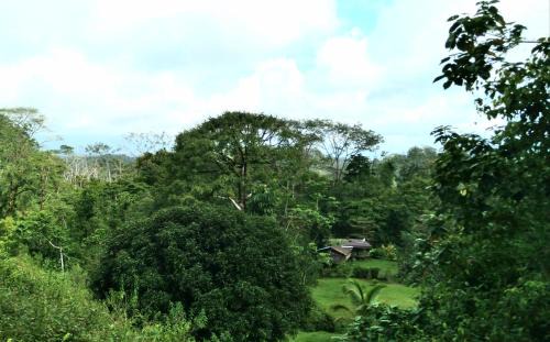 Puerto Jimenez Hotel | Finca Sueno de Osa
