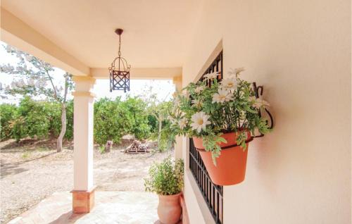 Almodovar del Rio House | Finca Villaseca