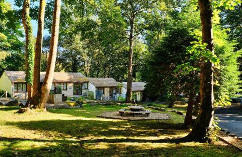 Lelant Ski Chalet | Finest Retreats - Joyful Cottage