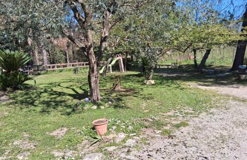Cordoba Bed & Breakfast | Fiorile