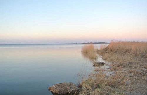Ribnitz-Damgarten Apartment | FischLANDinSicht