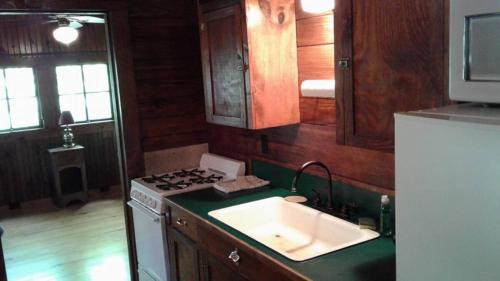 Hot Springs House | Five Points Lake Hamilton Cabin A