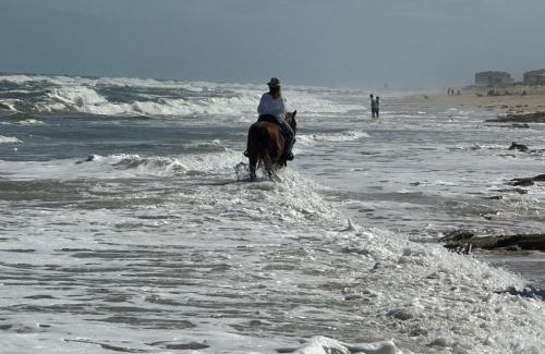 Flagler Beach Villa | Flagler Beach Ocean Front Villa w/Lg. In ground Pool-5-6Br/4Bth& attached apt