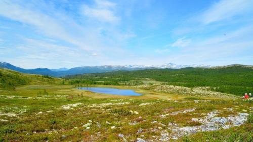 Venabygd House | Flaksjøen