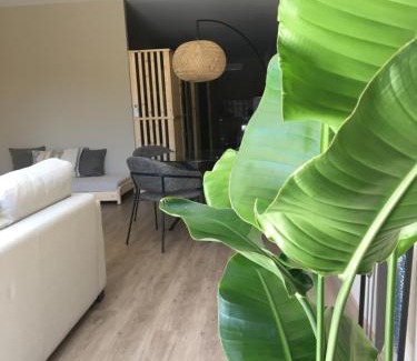 Boavista Apartment | Flats 323 apartments