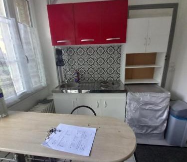 Romilly-sur-Seine Apartment | Fleurs de loutus 2