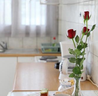 Mesolongi Apartment | Flo's Apartments