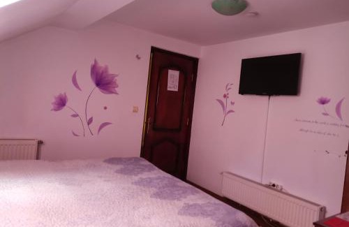 Pojorita House | Flori de Bucovina