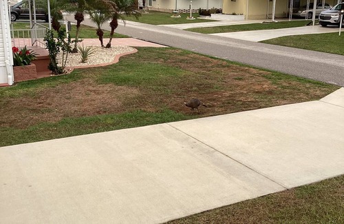 Sebring House | Florida South Central Area in City of Sebring Upscale Mobile Home Park