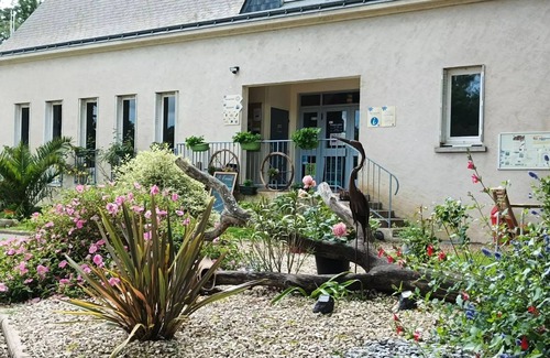 Luynes House | Flower Camping Les Granges * - Mobil-Home Standard 30 m2 (2 bedrooms) 4 people
