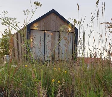 Klaipeda county Apartment | Forest edge