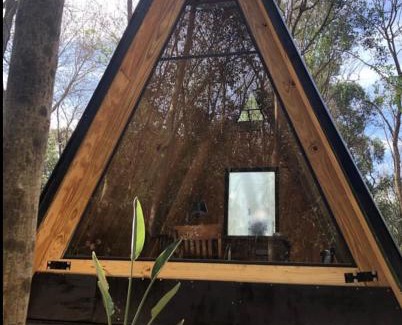 Gowland Other | Forest Glam